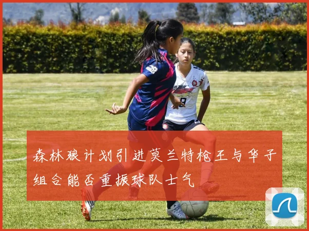森林狼计划引进莫兰特枪王与华子组合能否重振球队士气