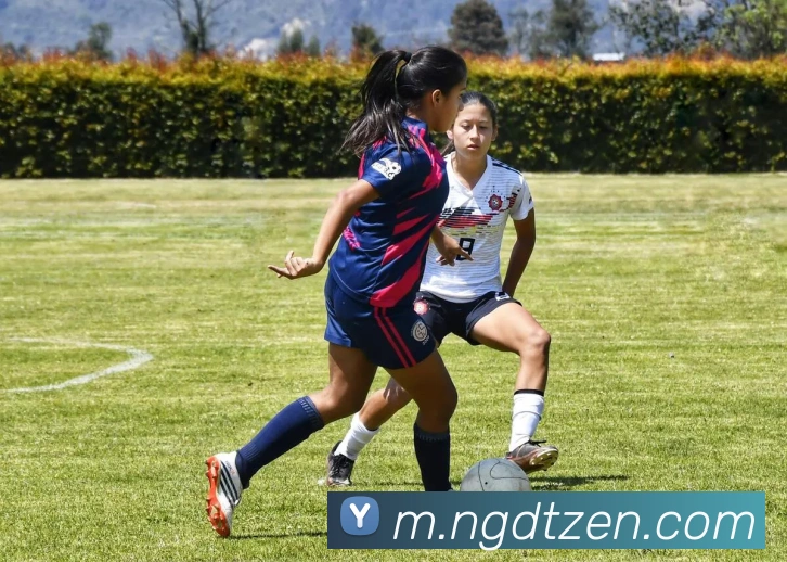 NG大舞台平台生态图